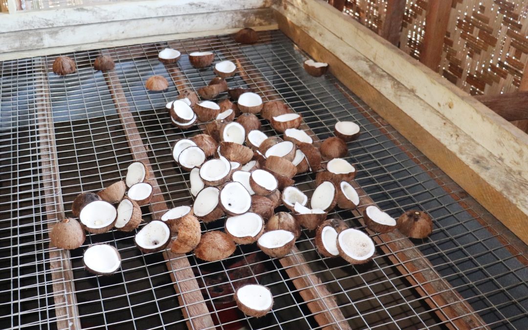 ‘White Copra’, Potential Game Changer