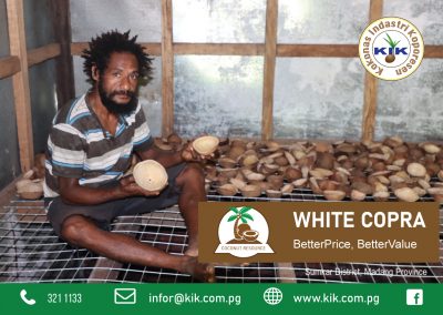 White Copra Farmer in Sumkar, Madang Province.